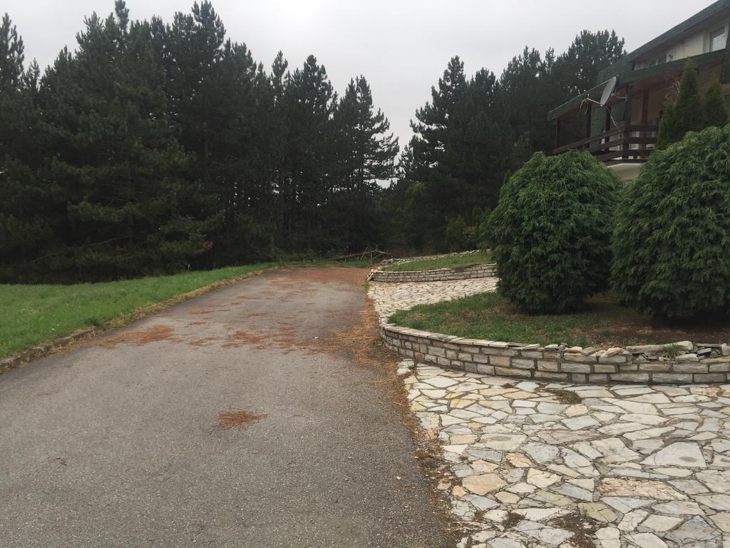 Ksenija Zlatibor